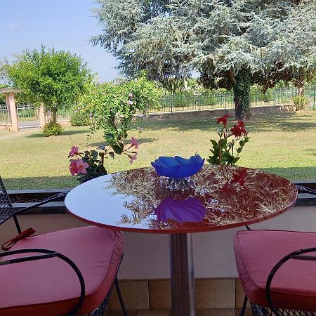 B & B Cedro Argentato Legnago Ngoại thất bức ảnh