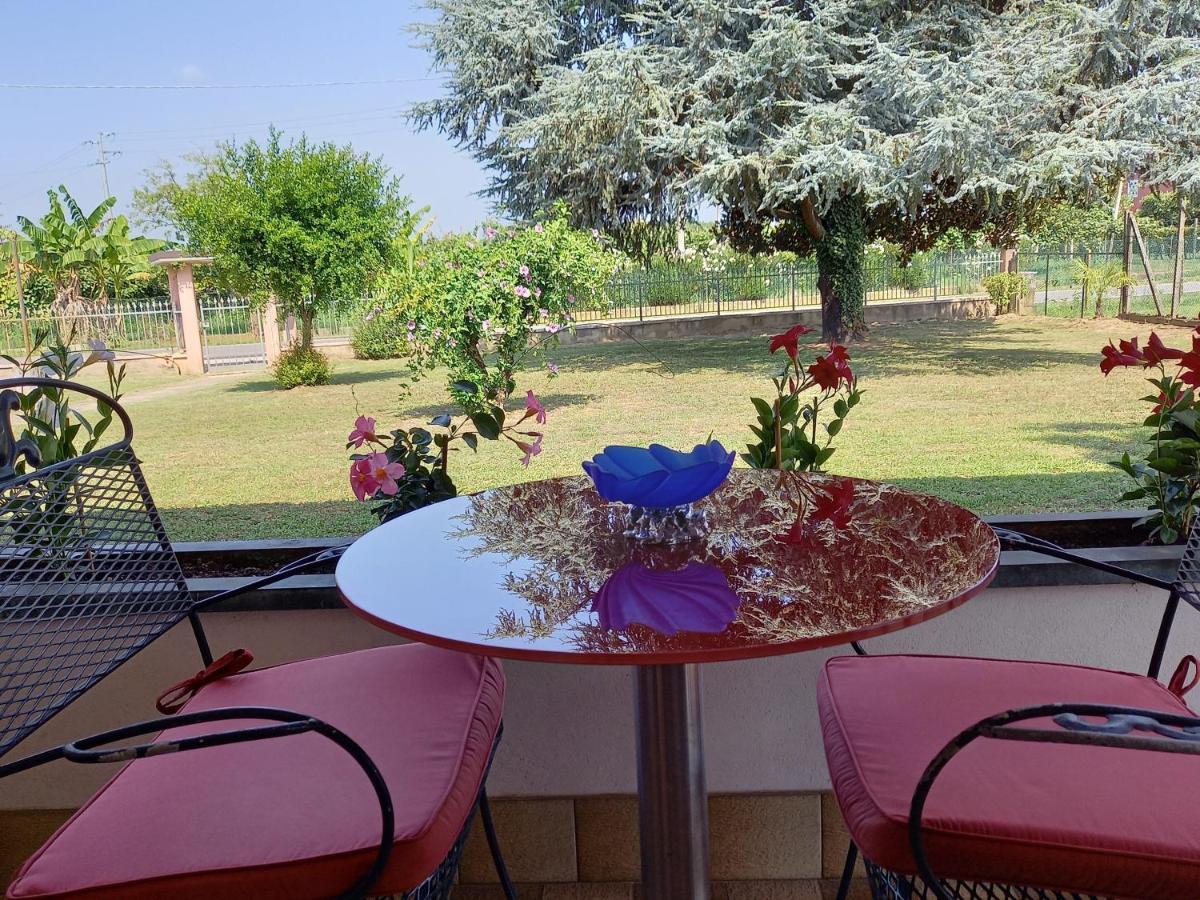 B & B Cedro Argentato Legnago Ngoại thất bức ảnh