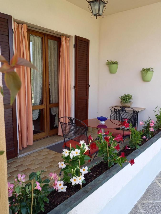B & B Cedro Argentato Legnago Ngoại thất bức ảnh