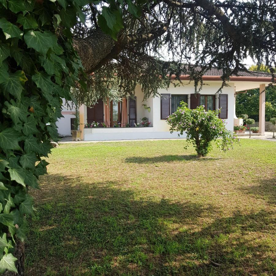 B & B Cedro Argentato Legnago Ngoại thất bức ảnh